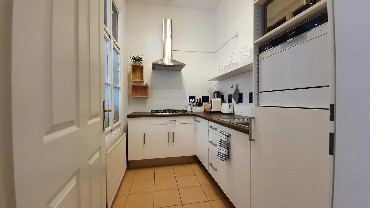 Gorgeous Viennese Apartment 10 Min To City Center 0*, וינה